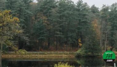 Millions from state lands could be redirected to rural Pennsylvania to help make up for tax-exempt property | Feature Stories