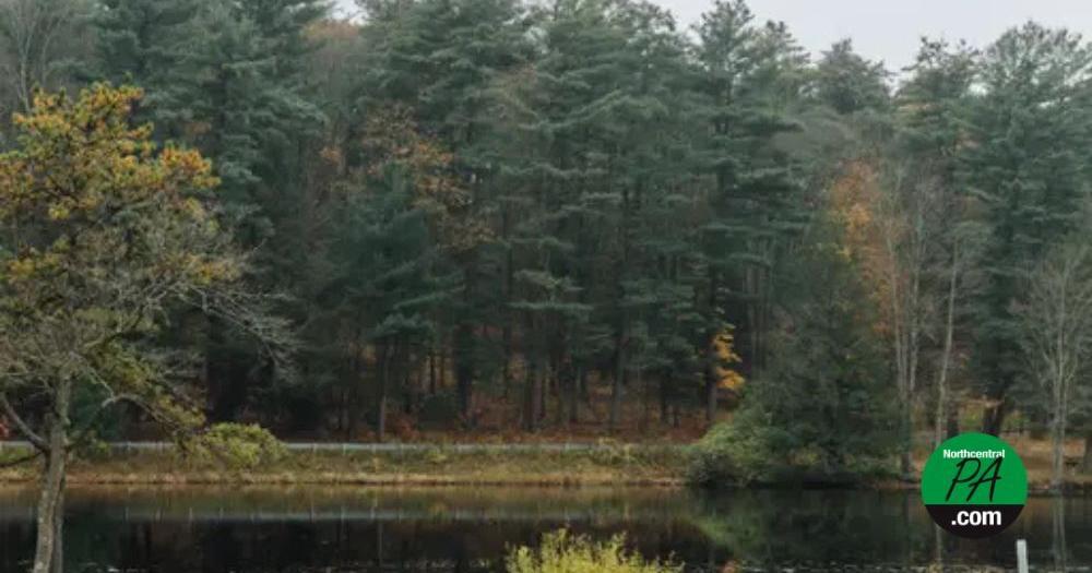 Millions from state lands could be redirected to rural Pennsylvania to help make up for tax-exempt property | Feature Stories