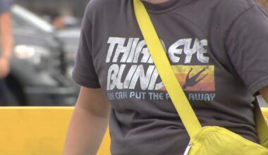 'They just have great vibes': Third Eye Blind fans, openers bring energy to Musikfest | Entertainment News