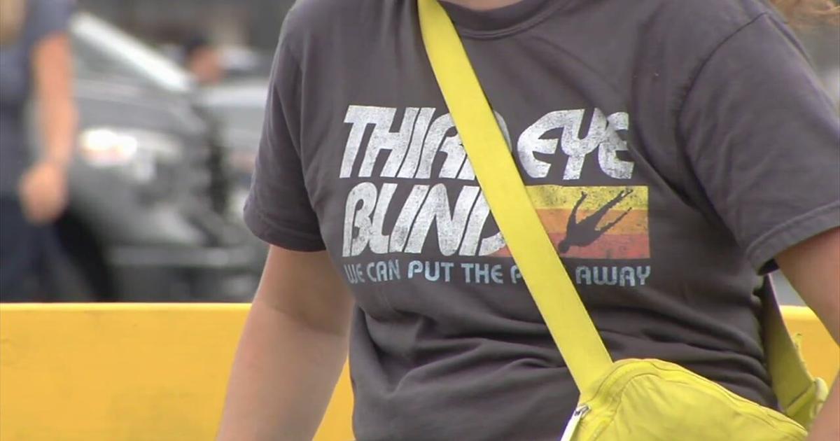 'They just have great vibes': Third Eye Blind fans, openers bring energy to Musikfest | Entertainment News
