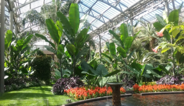 Group recruiting for Road Scholar Philadelphia garden tour Oct. 4-9 | Local News