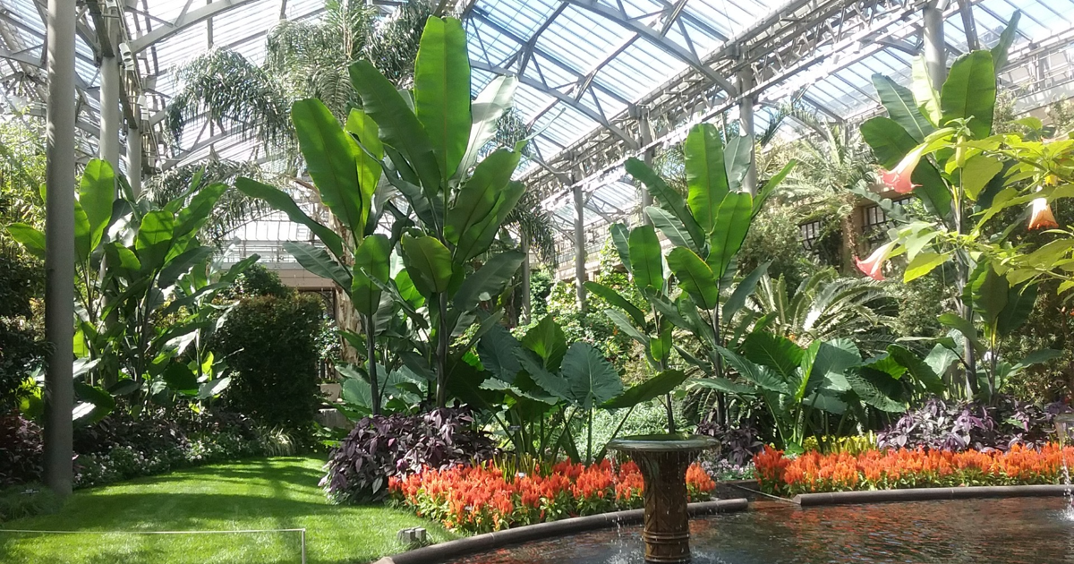 Group recruiting for Road Scholar Philadelphia garden tour Oct. 4-9 | Local News