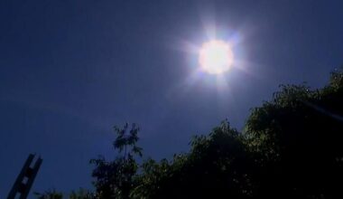 Animal Rescue League Berks County issues "Code Red" for extreme heat measures | Weather