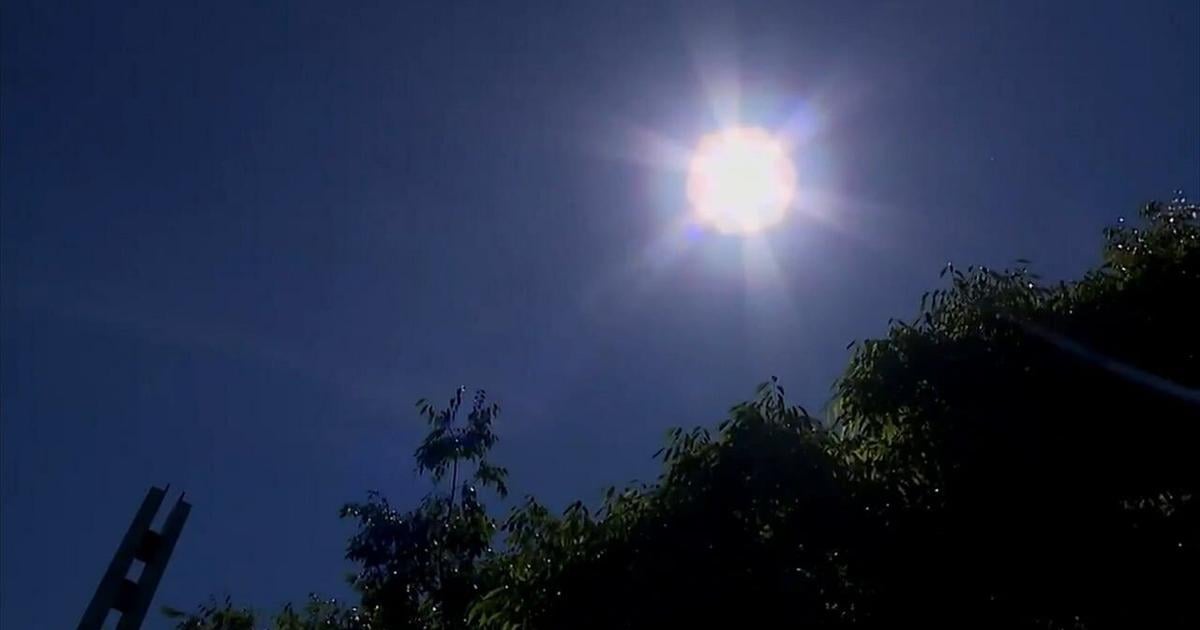 Animal Rescue League Berks County issues "Code Red" for extreme heat measures | Weather