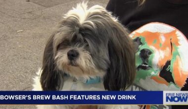Bowser’s Brew Bash Benefits Pets with Special Needs | News