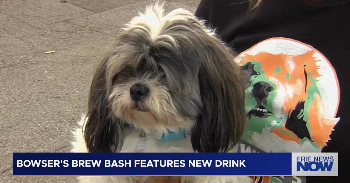 Bowser’s Brew Bash Benefits Pets with Special Needs | News