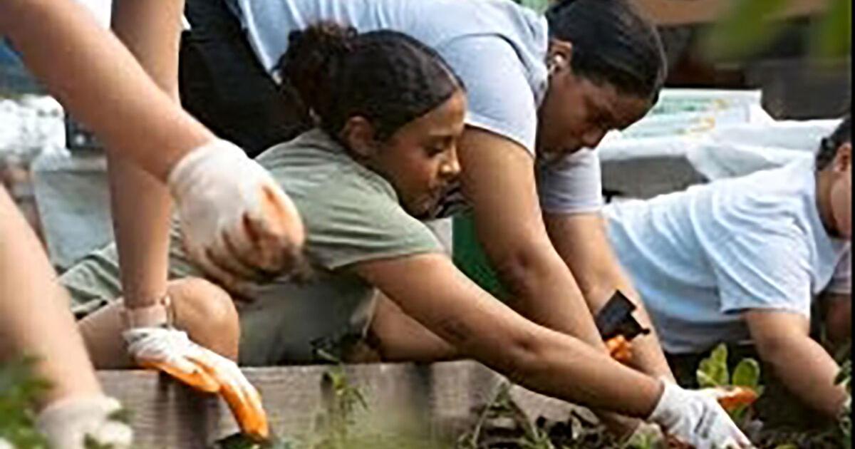 Commonwealth Univ. students attend Out of the Classroom: Into the Community program | Lifestyle