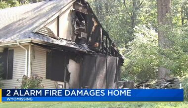 2-alarm fire kills 3 pets in Wyomissing home | Reading Area