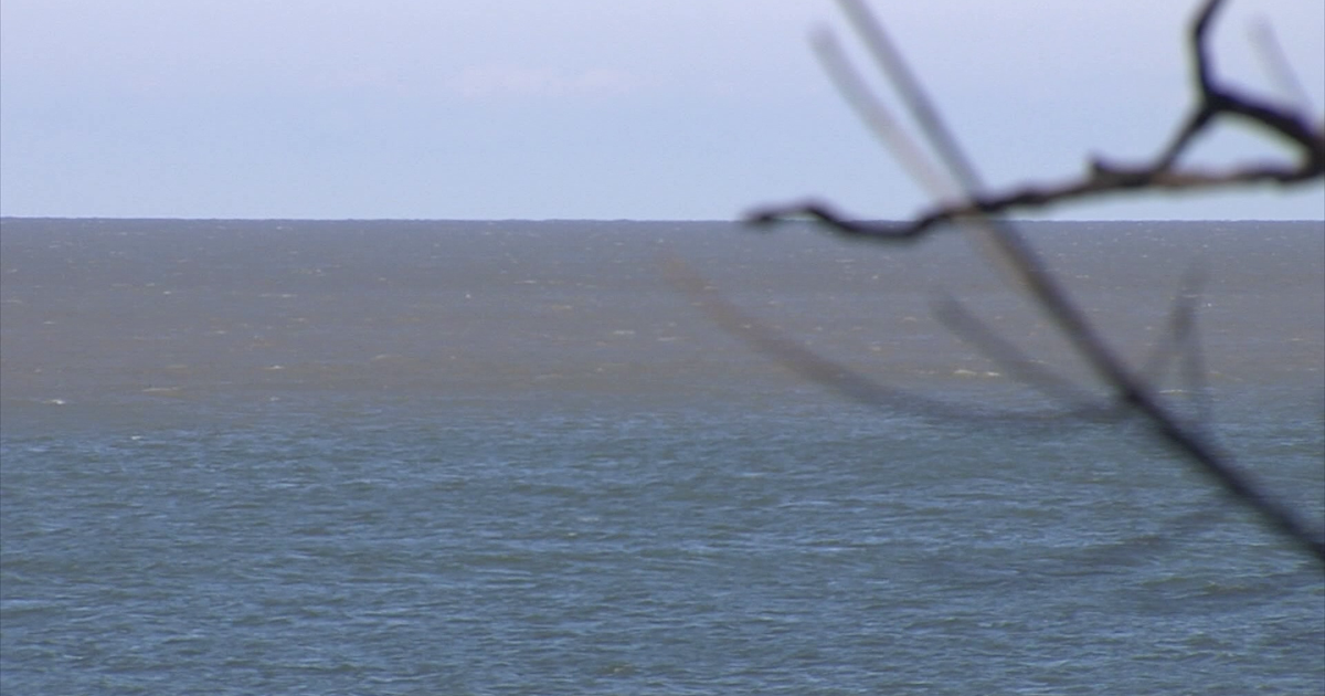 Multiple Crews Respond to Sailboat in Distress on Lake Erie | News