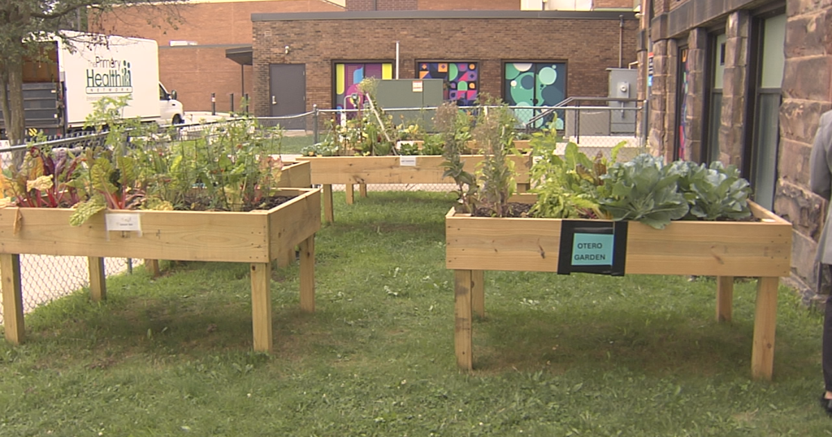 New Community Garden Opens in Erie Food Desert | News