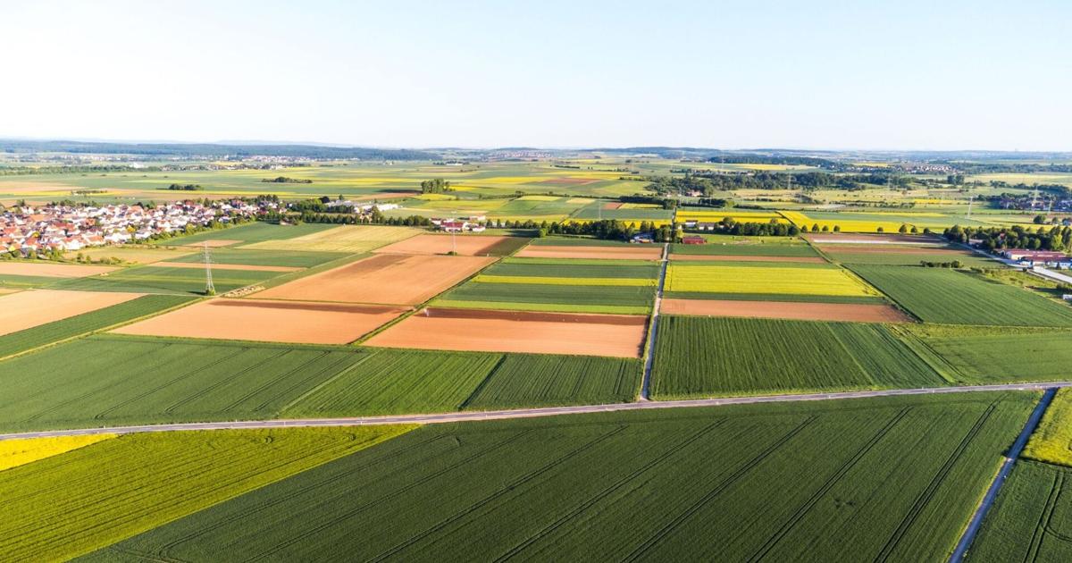 Senator Laughlin Announces $288K for Erie Farm Innovation | News