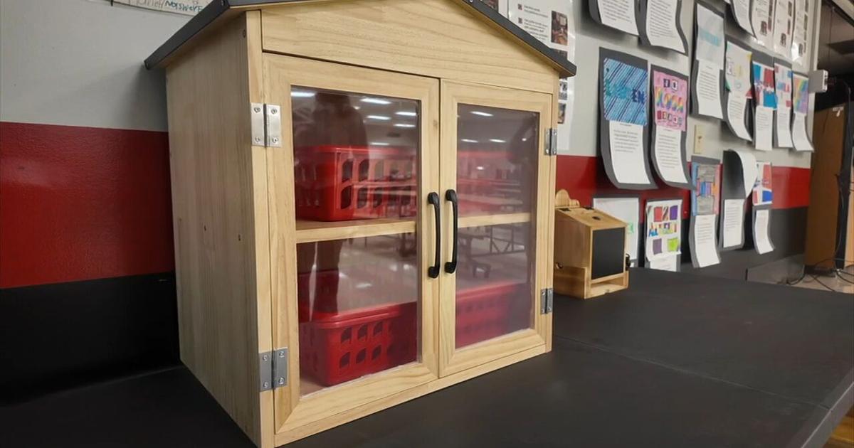 Reading High Girl Scout project adds book boxes in local elementary school | Reading Area