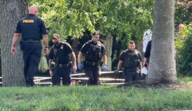 Dog shot, killed by officer following reports of 2 loose dogs biting several people | Allentown Area