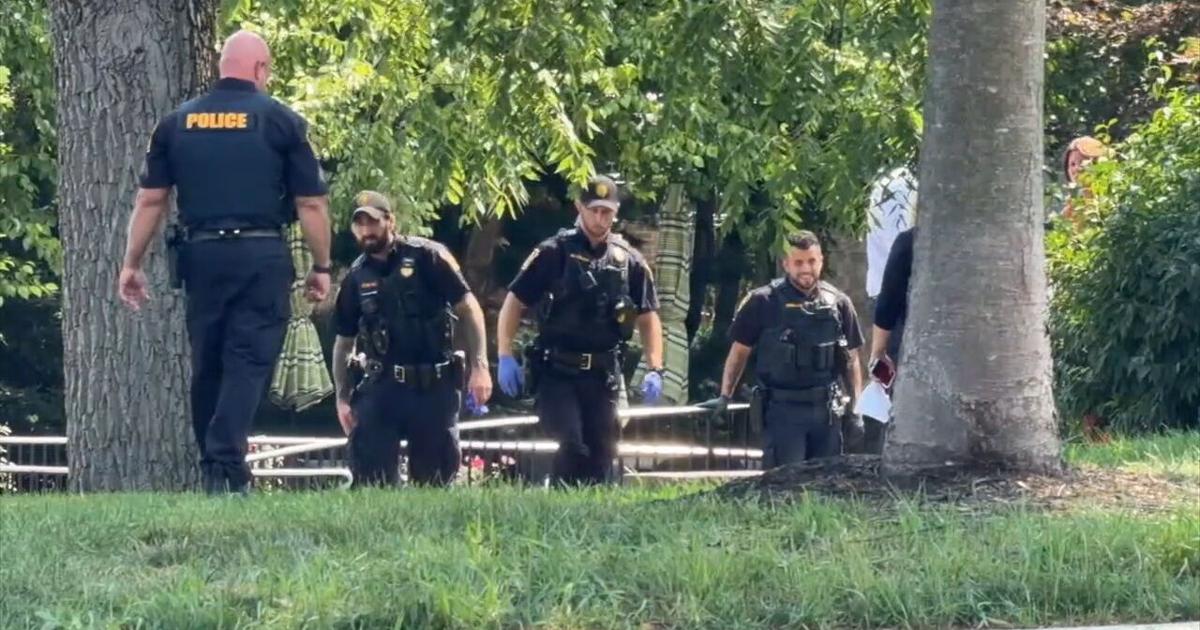 Dog shot, killed by officer following reports of 2 loose dogs biting several people | Allentown Area