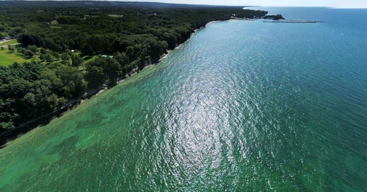 Body Found Along Lake Erie Shoreline in Ripley New York | News