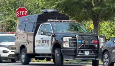 'Traumatizing': Dog shot, killed by Allentown officer following reports of 2 loose dogs biting people | Allentown Area