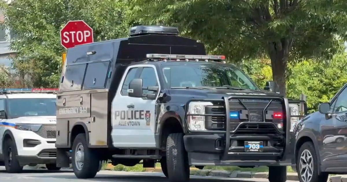 'Traumatizing': Dog shot, killed by Allentown officer following reports of 2 loose dogs biting people | Allentown Area