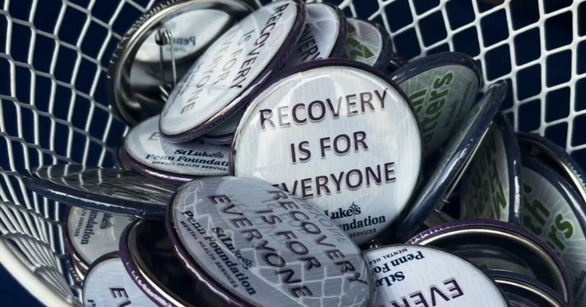 'It is possible and there is hope': Fightin Phils 'Recovery Night' connects community with addiction resources | Reading Area