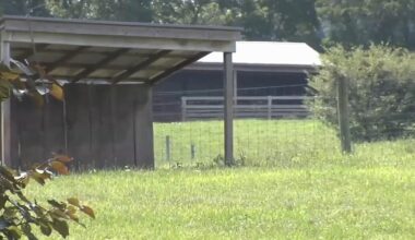 Aggressive bison lead to police shooting 2 animals in Cumru twp. | Berks Regional News