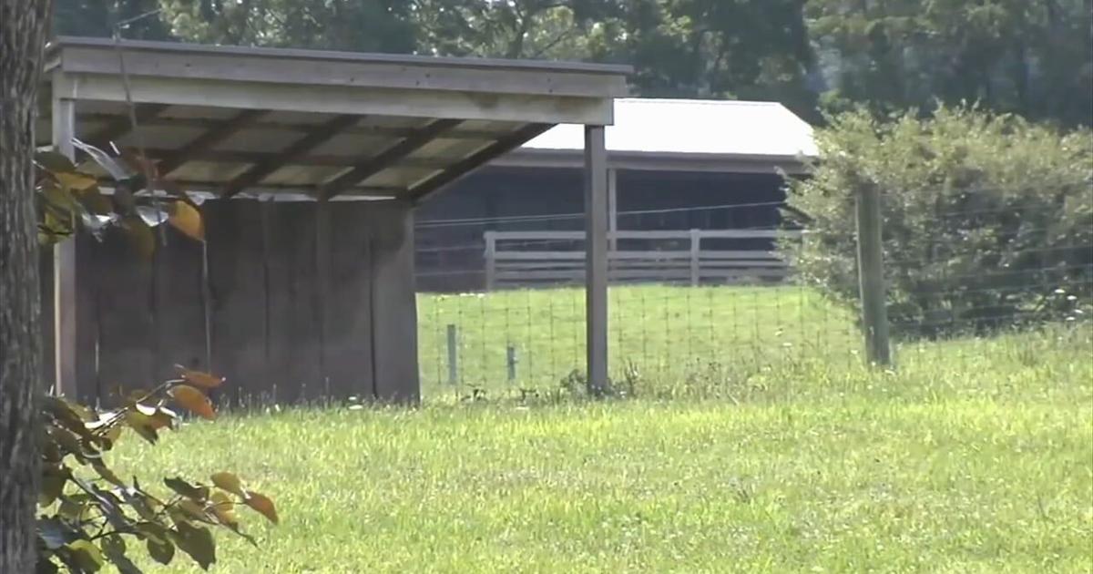 Aggressive bison lead to police shooting 2 animals in Cumru twp. | Berks Regional News