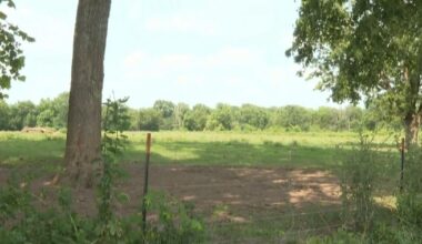 Quincy City Council holds first reading for solar facilities on Nieders Lane |