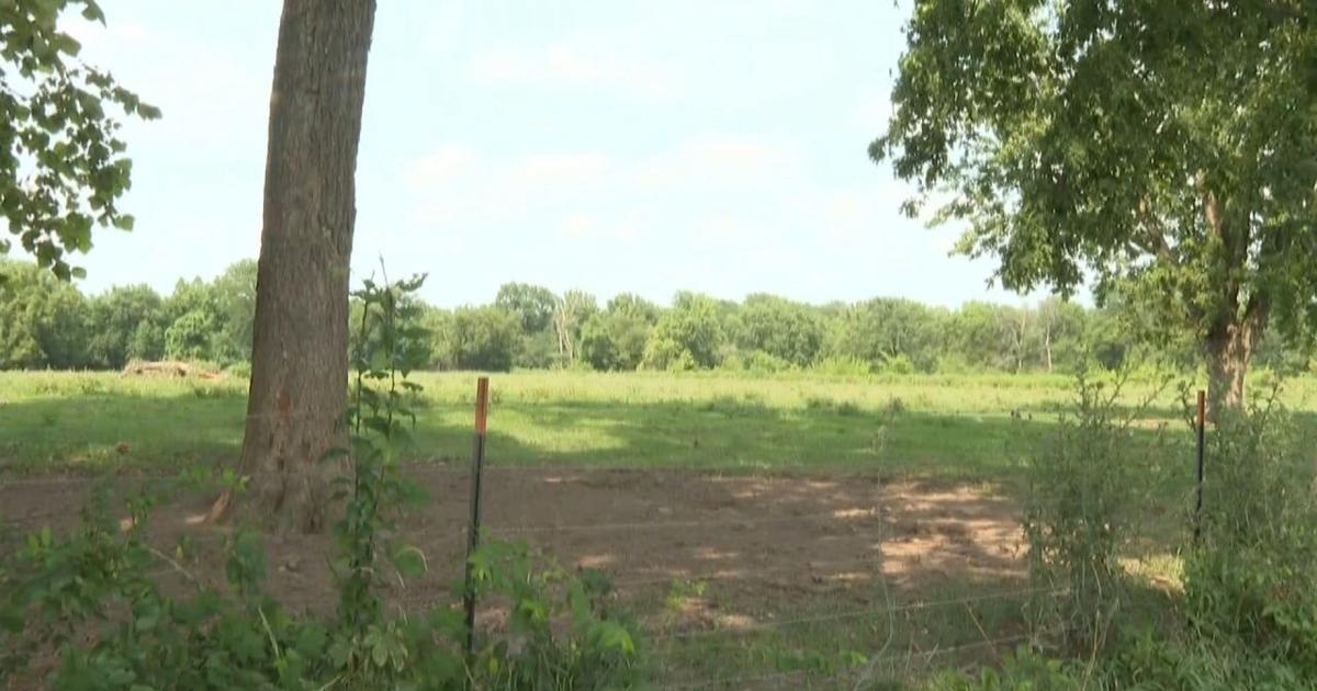 Quincy City Council holds first reading for solar facilities on Nieders Lane |