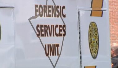 Berks County woman pleaded guilty, but mentally ill in the strangling of her 3-year-old child | Reading Area