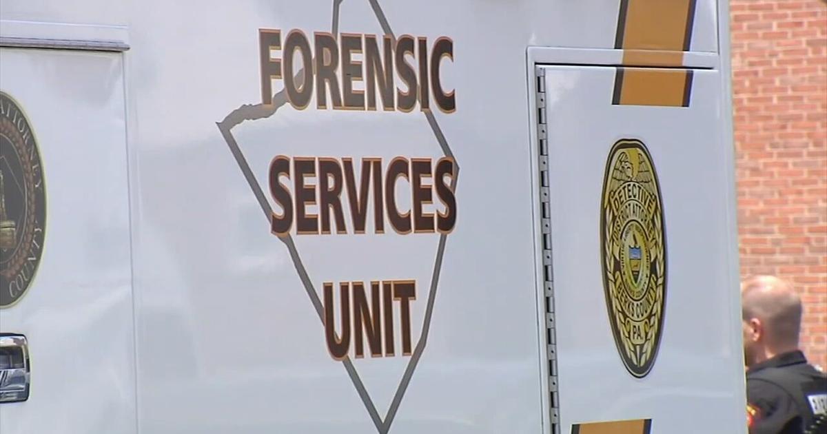 Berks County woman pleaded guilty, but mentally ill in the strangling of her 3-year-old child | Reading Area