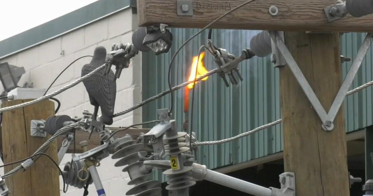 'It does not take very much electricity to kill a person': First responders get live electrical safety demo | Allentown Area