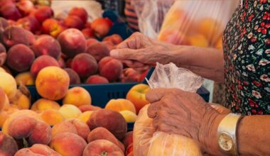 Additional farmers market vouchers available for Northampton County seniors | Northampton County