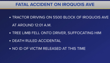 75-Year-Old Tractor Driver Killed After Tree Limb Falls | News