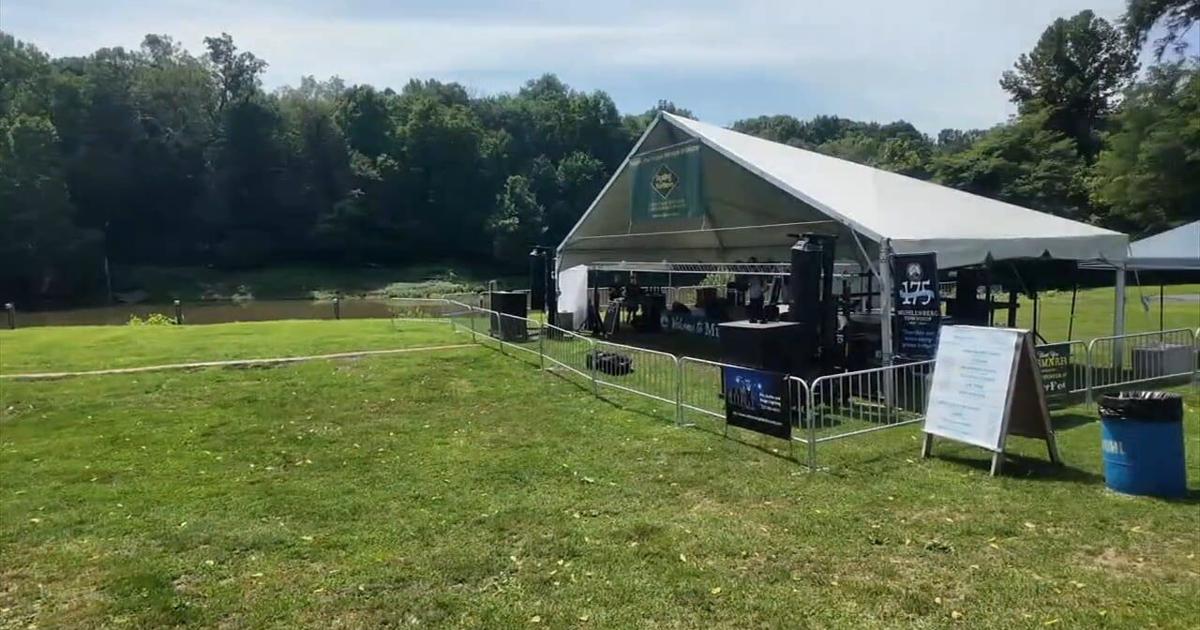 Muhlenberg TWP. celebrates 10th RiverFest with 100+ vendors, drone show, fireworks | Reading Area