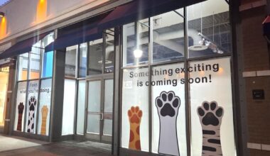 New restaurant coming to former Bar Louie spot, pet supply store also in the works at Promenade | Eat, Sip, Shop