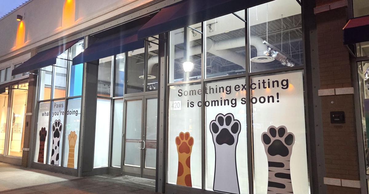 New restaurant coming to former Bar Louie spot, pet supply store also in the works at Promenade | Eat, Sip, Shop