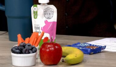 Nutritionist shares tips on preparing back-to-school lunches for kids | Lehigh Valley Regional News