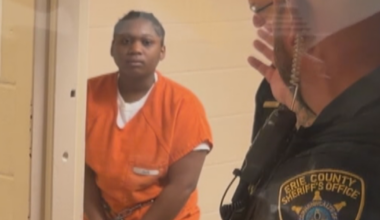 Mother ordered to stand trial in erie house fire case | News