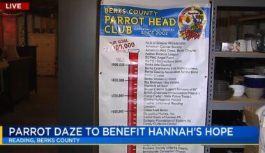 Parrot Daze fundraiser in Berks to benefit home helping women facing tough times | Reading Area