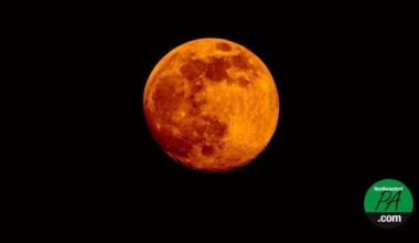 Near-total lunar eclipse expected to turn moon red tonight | State