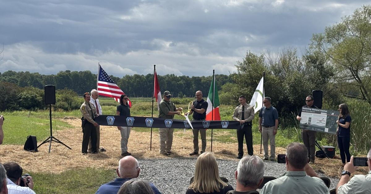 Restoration of Pennsylvania State Game Lands 151 | Local News