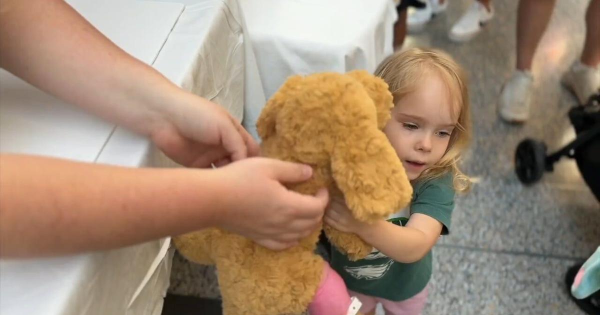 Lehigh Valley Reilly Children's Hospital hosts Teddy Bear Hospital Experience to comfort young patients | Allentown Area