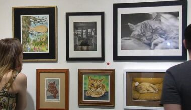 'Whole Lotta Hank': Easton art gallery celebrates decade-long resident cat with exhibit | Easton Area