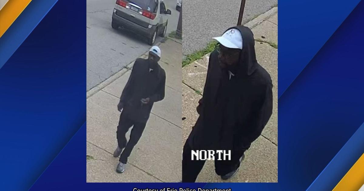 Erie Police Request Help Identifying Vehicle Theft Suspect | News