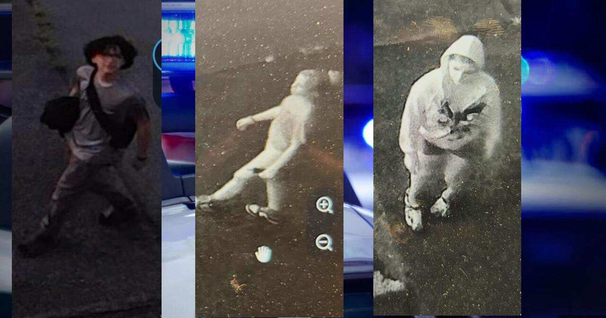 Police looking to ID 3 after vandalism on public property in Salisbury Twp. | Allentown Area