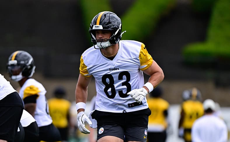 Pittsburgh Steelers TE Robert Tonyan