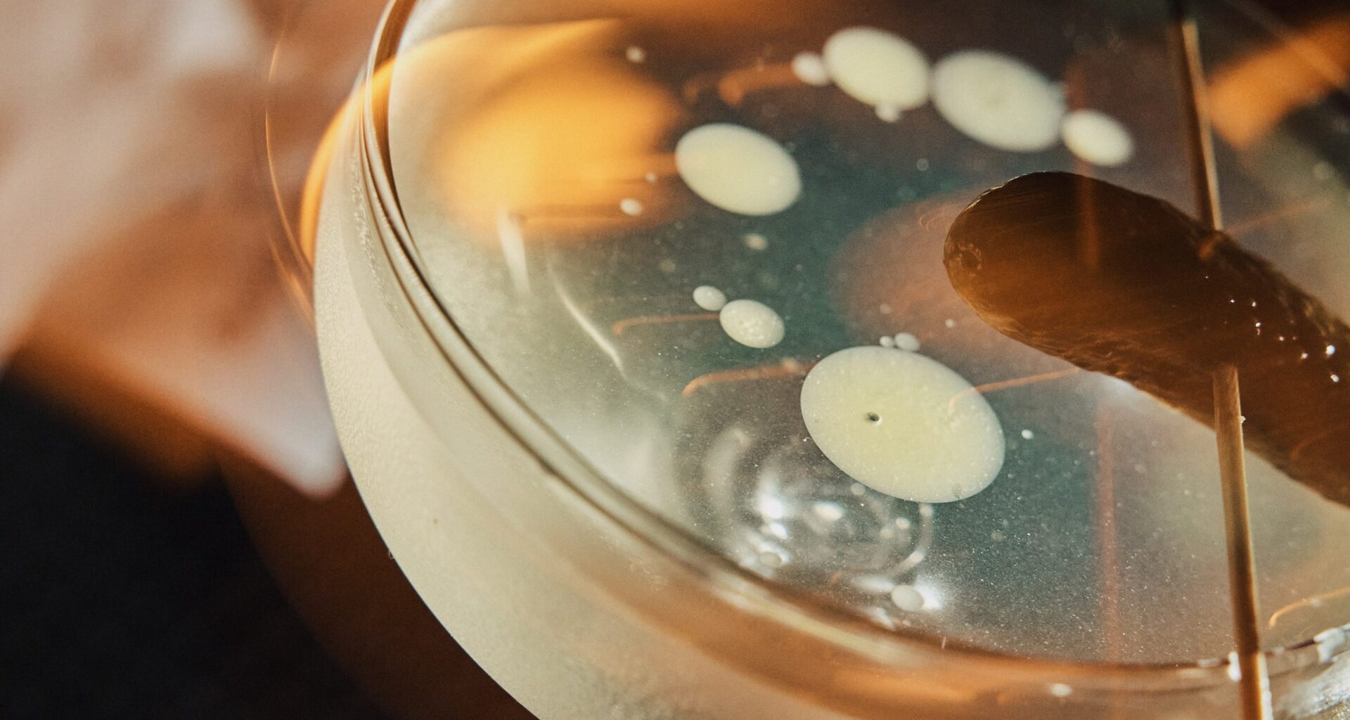 Truly bizarre cocktails worth trying around Philadelphia