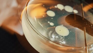 Truly bizarre cocktails worth trying around Philadelphia