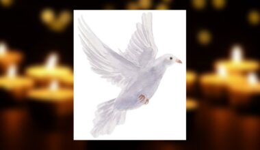 Crispin Contreras Martinez Obituary Aug 18, 2026