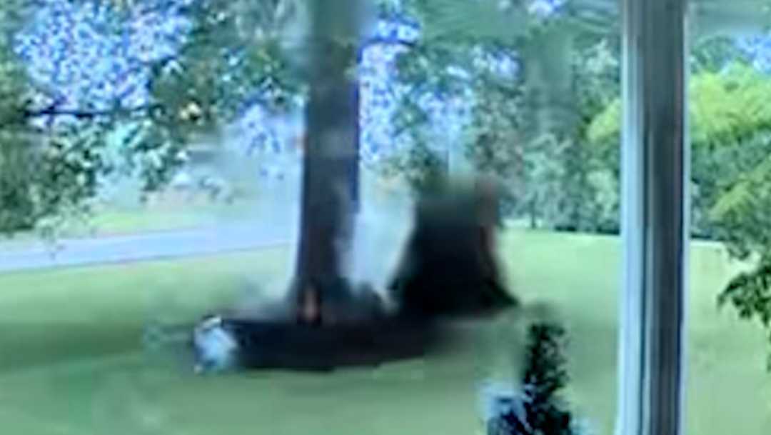 Doorbell camera captures lightning striking tree in York County, Pa.