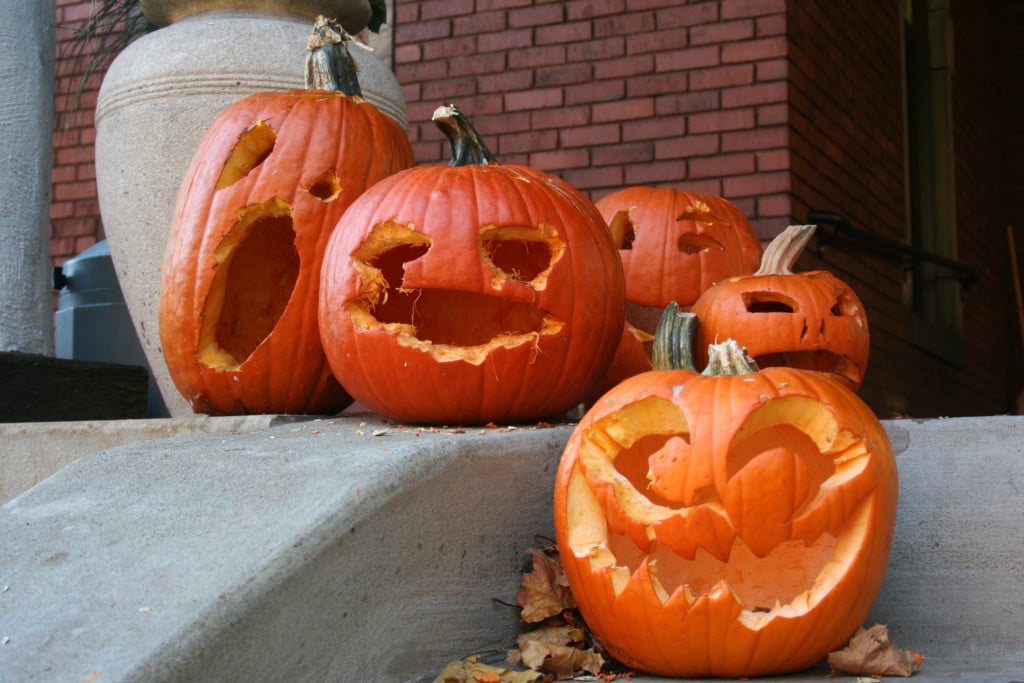 Pittsburgh Magazine’s Guide to Fall