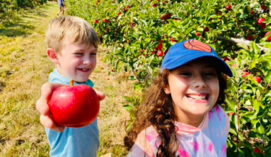 Where to Pick Your Own Apples Near Erie, PA in 2026